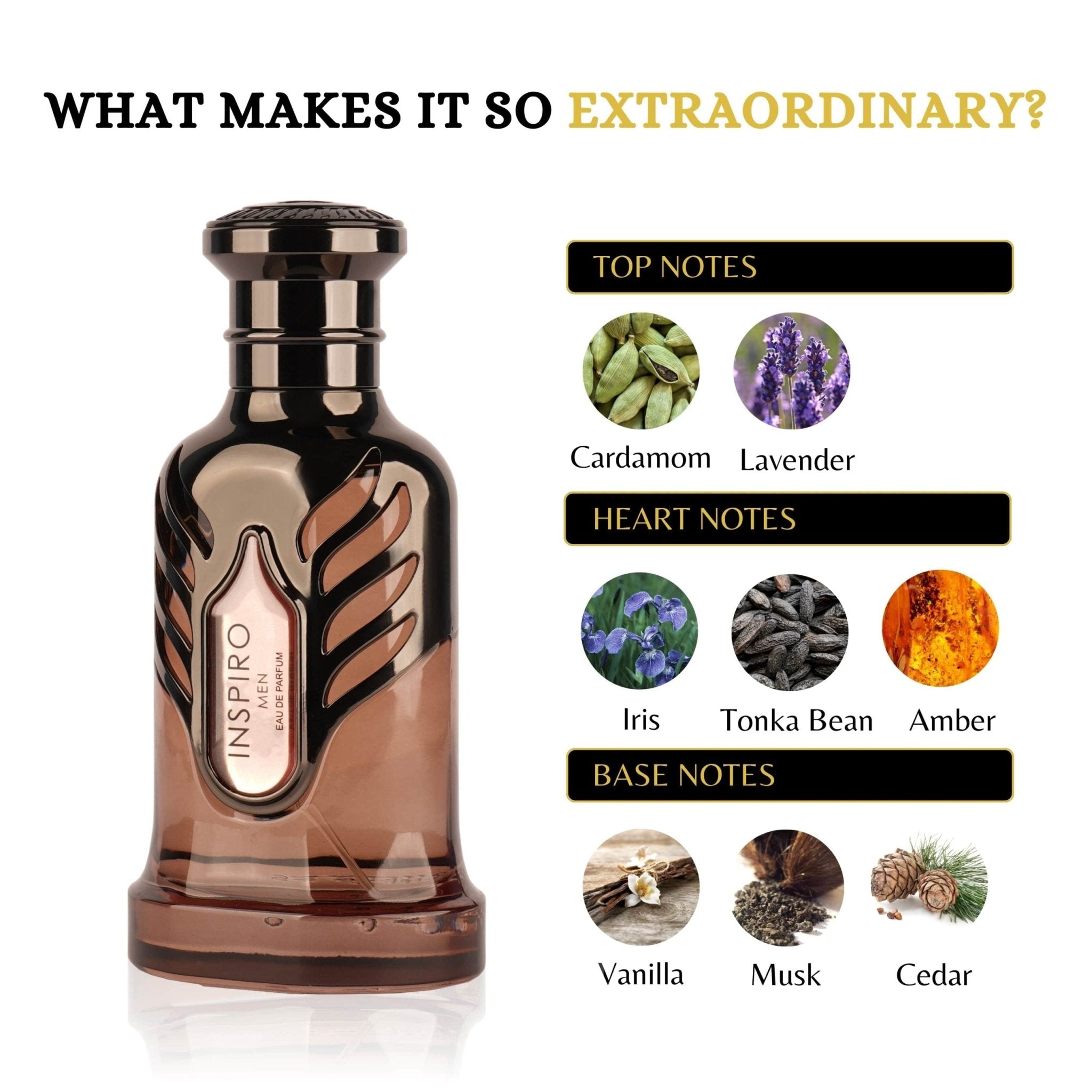 INSPIRO MEN - BOTTLED BLISS FRAGRANCES PVT LTD
